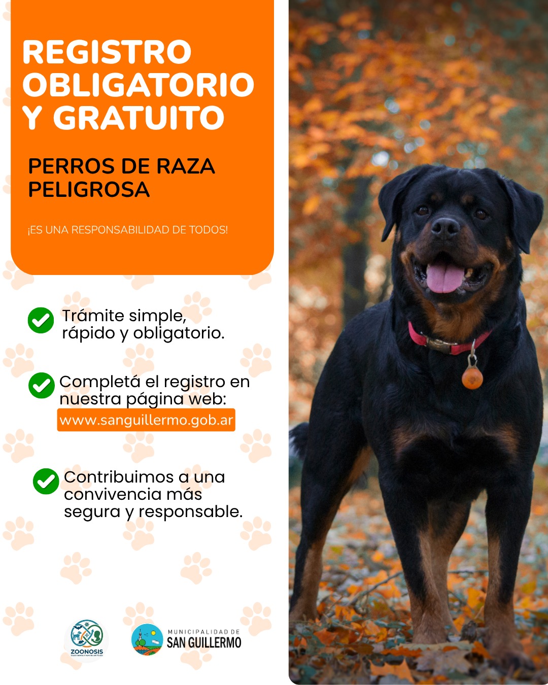 SAN GUILLERMO: TENENCIA RESPONSABLE | REGISTRO DE PERROS POTENCIALMENTE PELIGROSOS